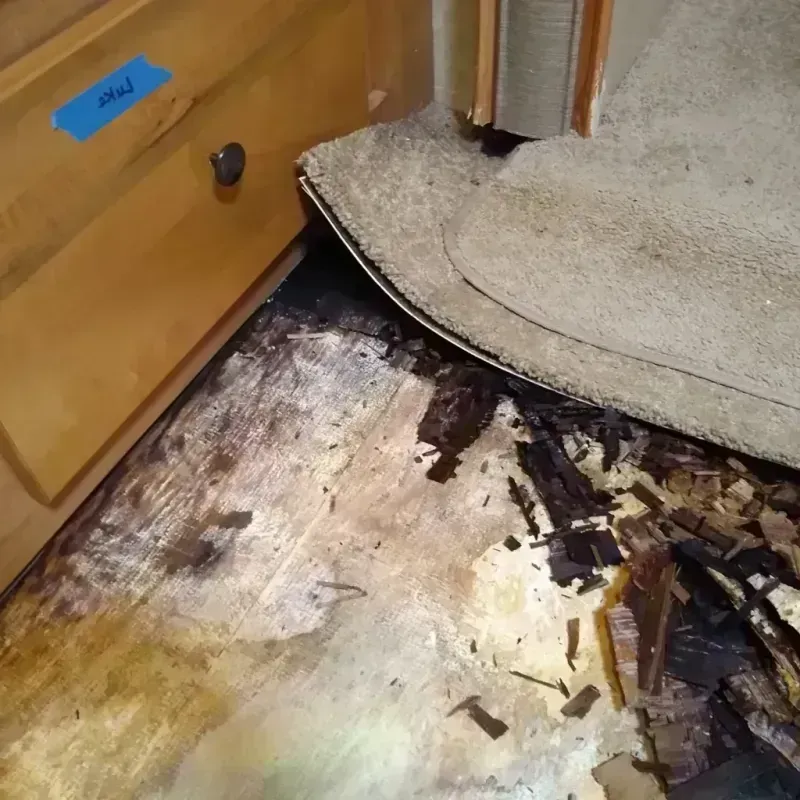 Best Wood Floor Water Damage Service in Hackensack, NJ